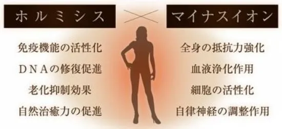フェアリーヴェール・プレミアム｜岩盤浴ヒートマット 温度調節40～60